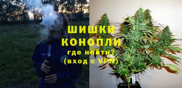 PSILOCYBIN Балабаново