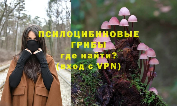 PSILOCYBIN Балабаново