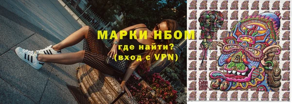 PSILOCYBIN Балабаново