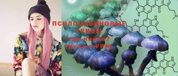 ГАЛЛЮЦИНОГЕННЫЕ ГРИБЫ Балахна