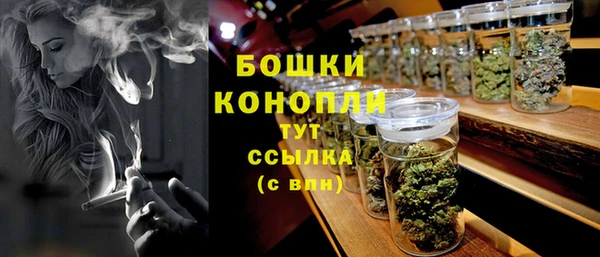 PSILOCYBIN Балабаново