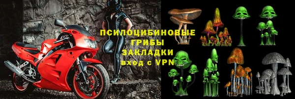 ГАЛЛЮЦИНОГЕННЫЕ ГРИБЫ Балахна
