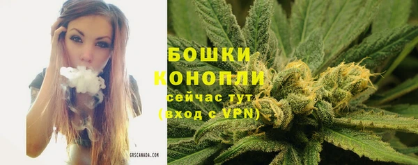 ГАЛЛЮЦИНОГЕННЫЕ ГРИБЫ Балахна