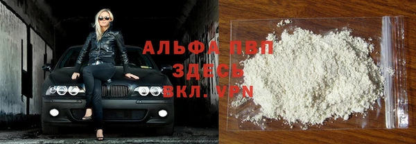 PSILOCYBIN Балабаново