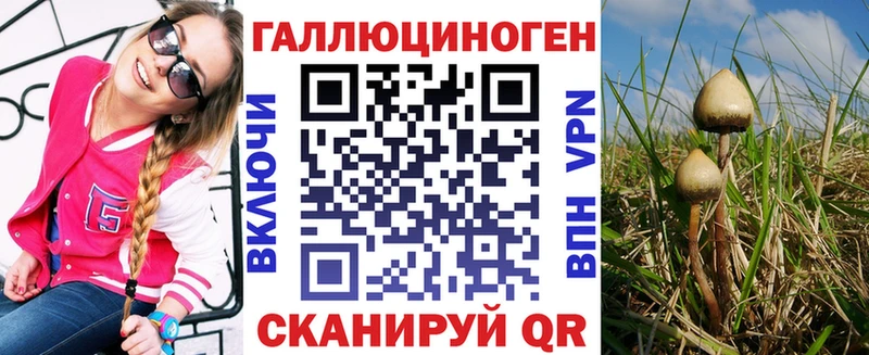 Псилоцибиновые грибы Psilocybine cubensis  Буйнакск 
